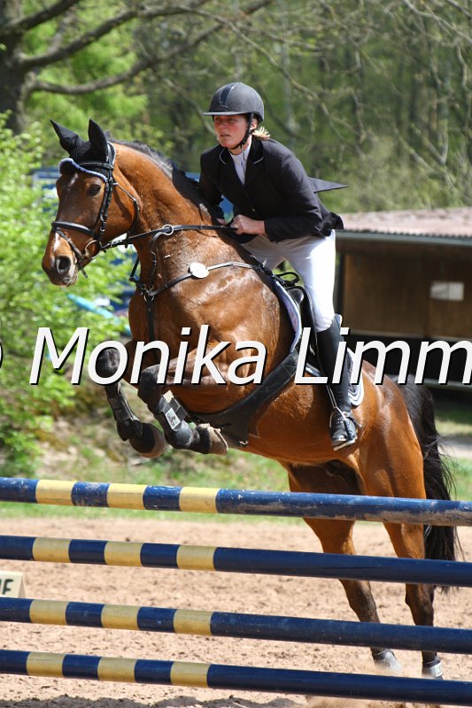 004M2123_Lamorena M_Punkte L m. Joker.JPG